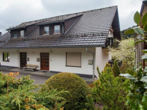 Cosy apartment in Winterberg-Niedersfeld with balcony and garden access